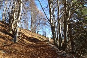 Pizzo Baciamorti e Monte Aralalta con giro ad anello da Capo Foppa di Pizzino l’8 dic. 2016 - FOTOGALLERY